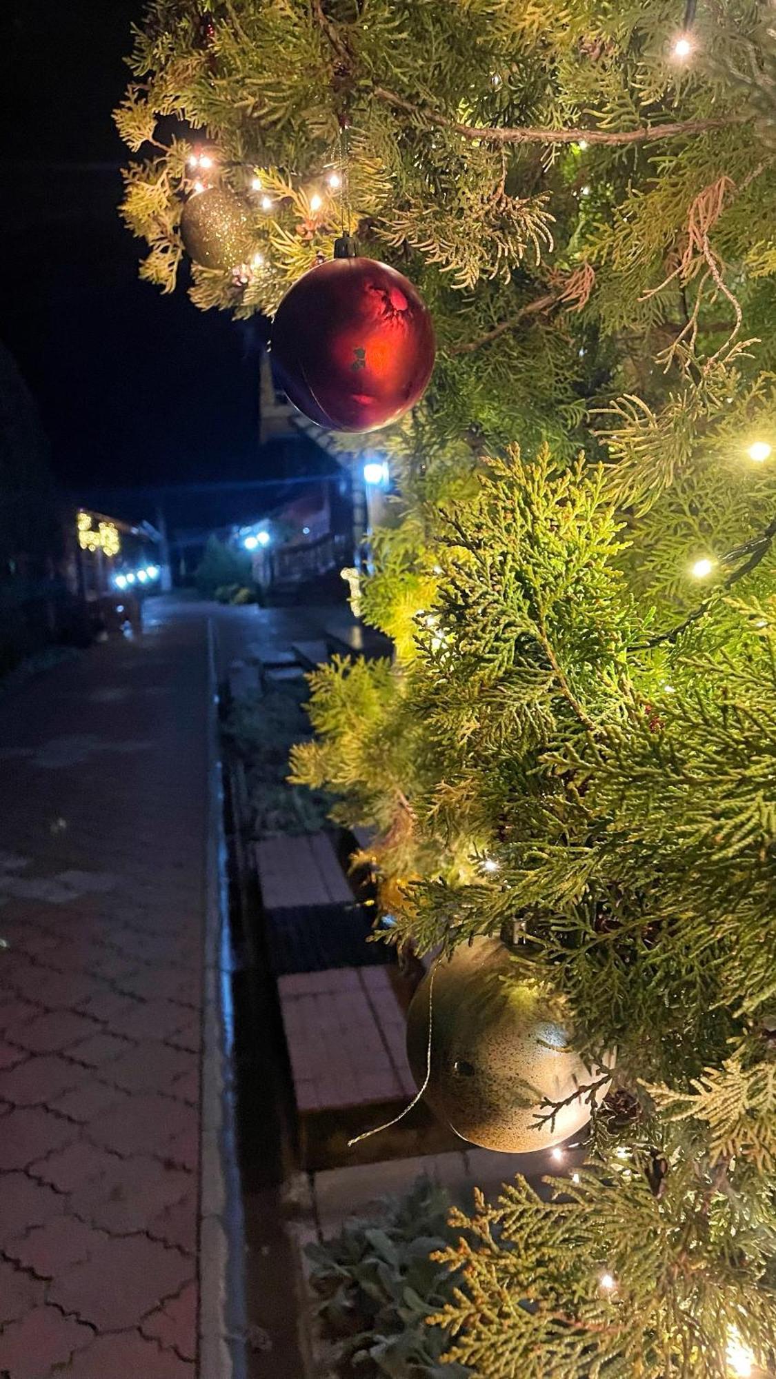 Eko Apartmani Backi Petrovac Exterior photo