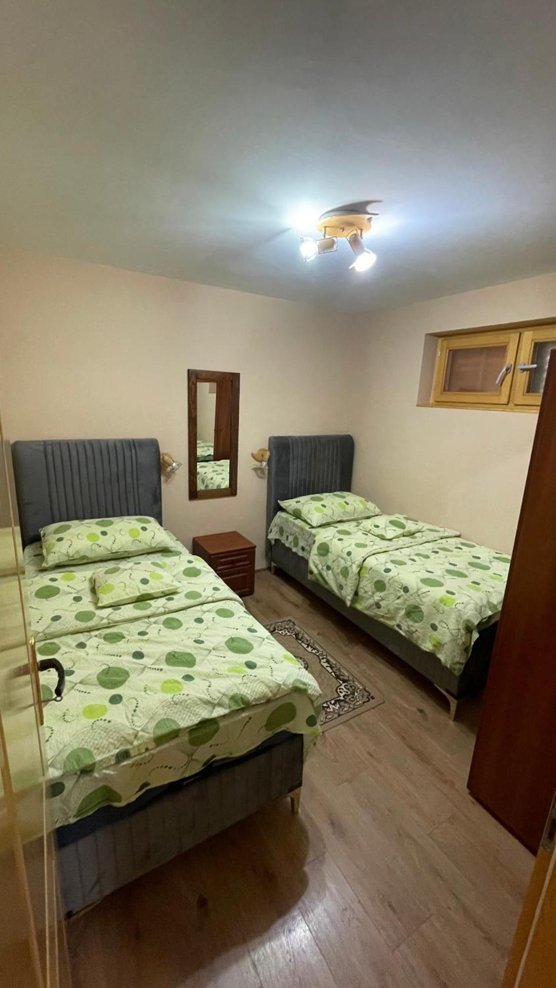 Eko Apartmani Backi Petrovac Exterior photo